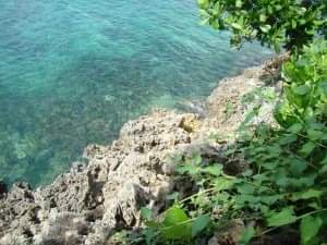 1.9 hectares along Beach  Land,Perfecr Investment Ideal for Dive and Beach Resort in Anda Bohol - photo 3