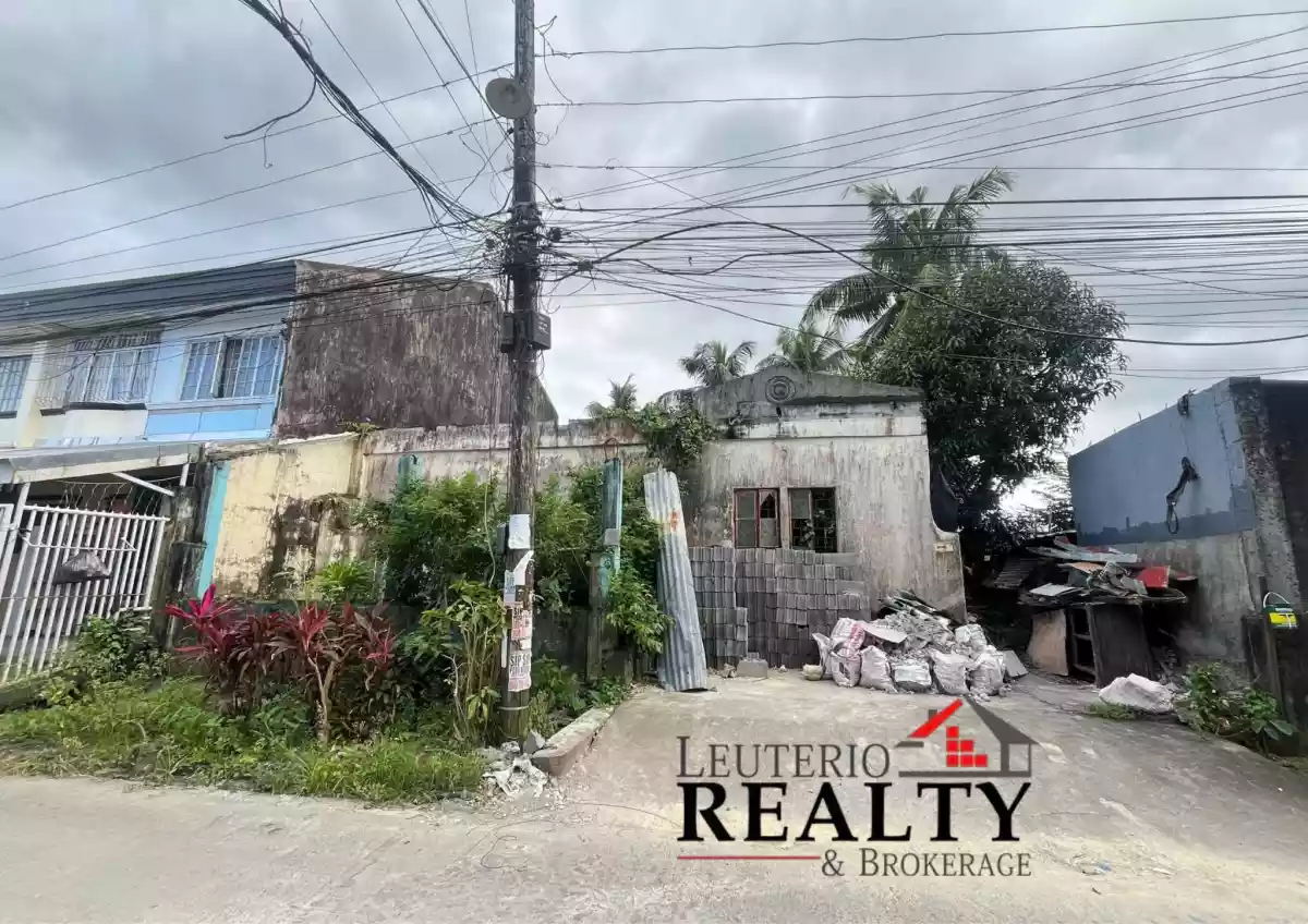 FOR SALE- PRIME RESIDENTIAL LOT NAGA CITY — Residential Lot in Naga City Subd, Everlasting Street, Subd. — Photo 3
