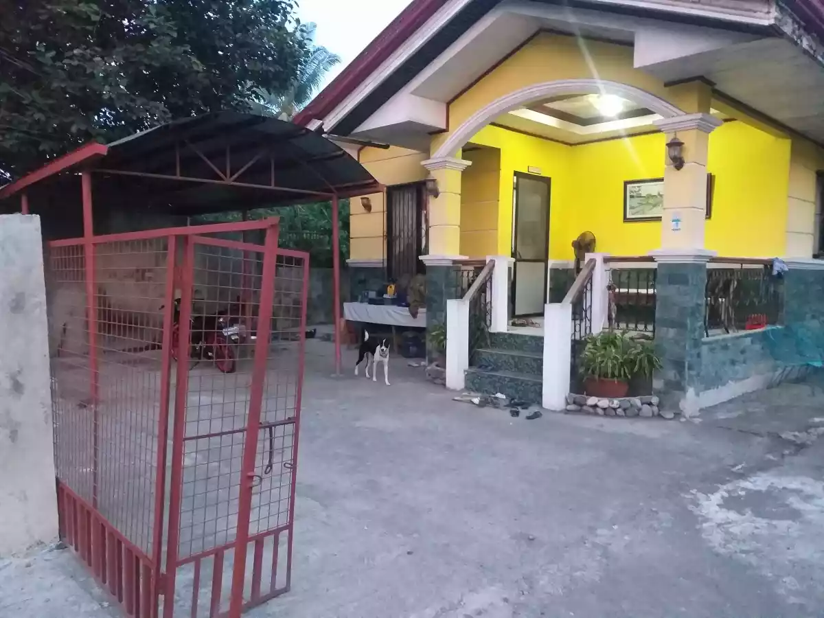 House and lot - photo 5