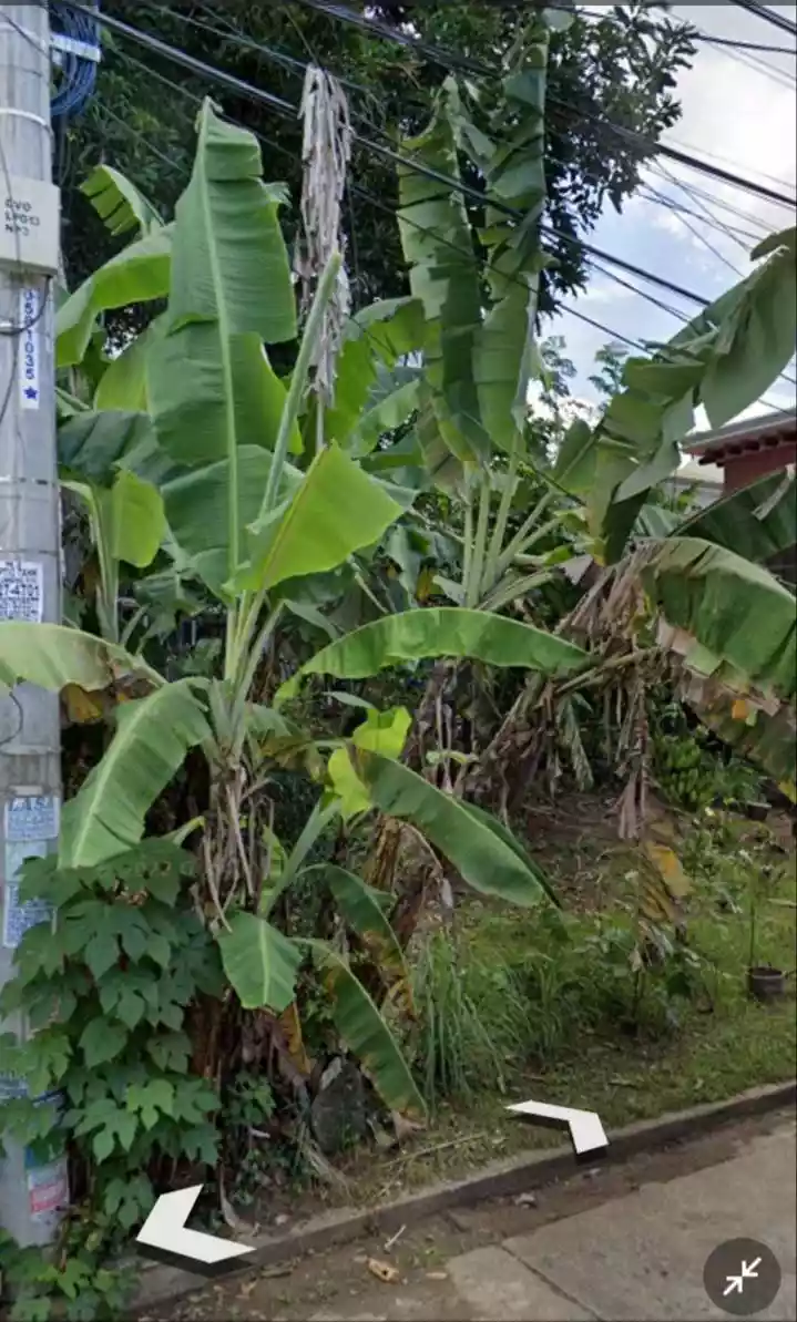 Residential Lot for Sale in Clapperail St., Bellisario Heights, Davao City — Residential Lot in Davao City, Davao del Sur, Philippines — Photo 4