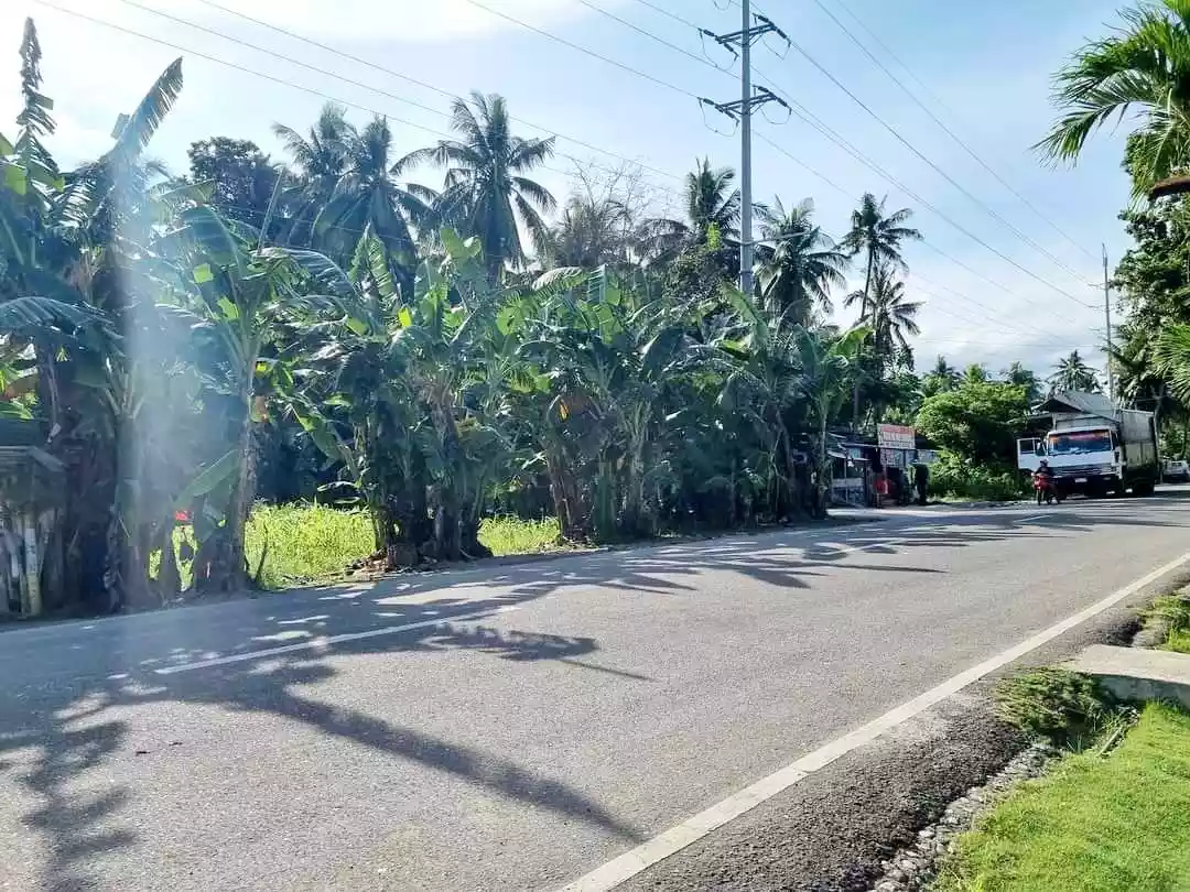 Lot for sale in Ginatilan, Cebu — Agricultural Lot in Ginatilan, Cebu, Philippines — Photo 5