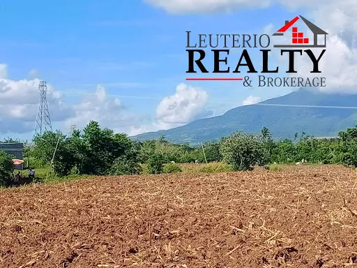Agri Land — Agricultural Lot in Naga, Camarines Sur, Philippines — Photo 3