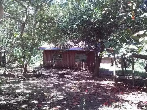 Very rush sale lot only — Agricultural Lot in Cebu, Philippines — Photo 6