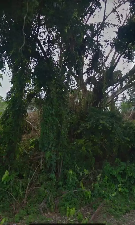Commercial Lot for Sale in Tagbilaran City, along National Highway! - photo 3