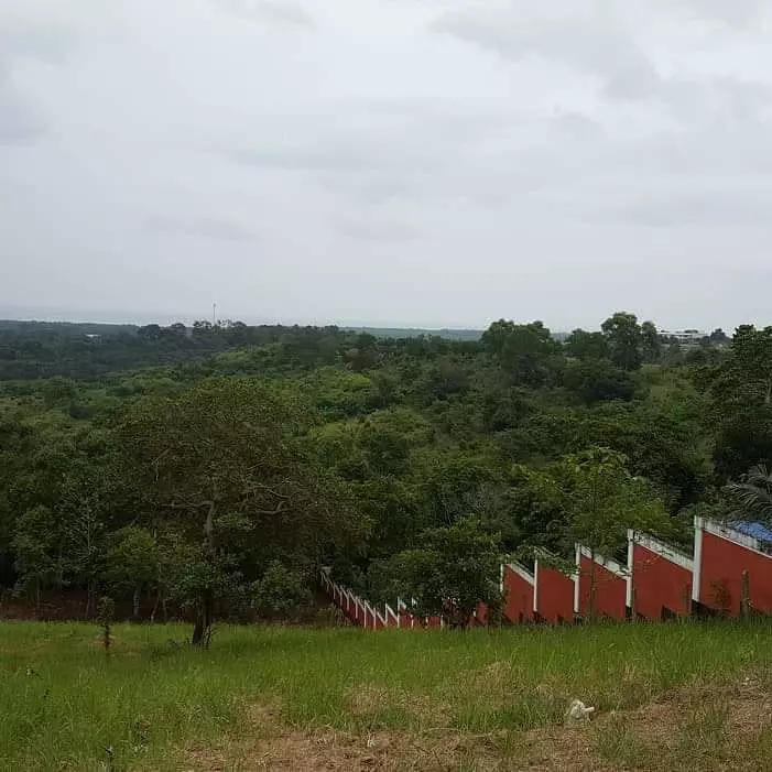 Overlooking Honda Bay Property - photo 7