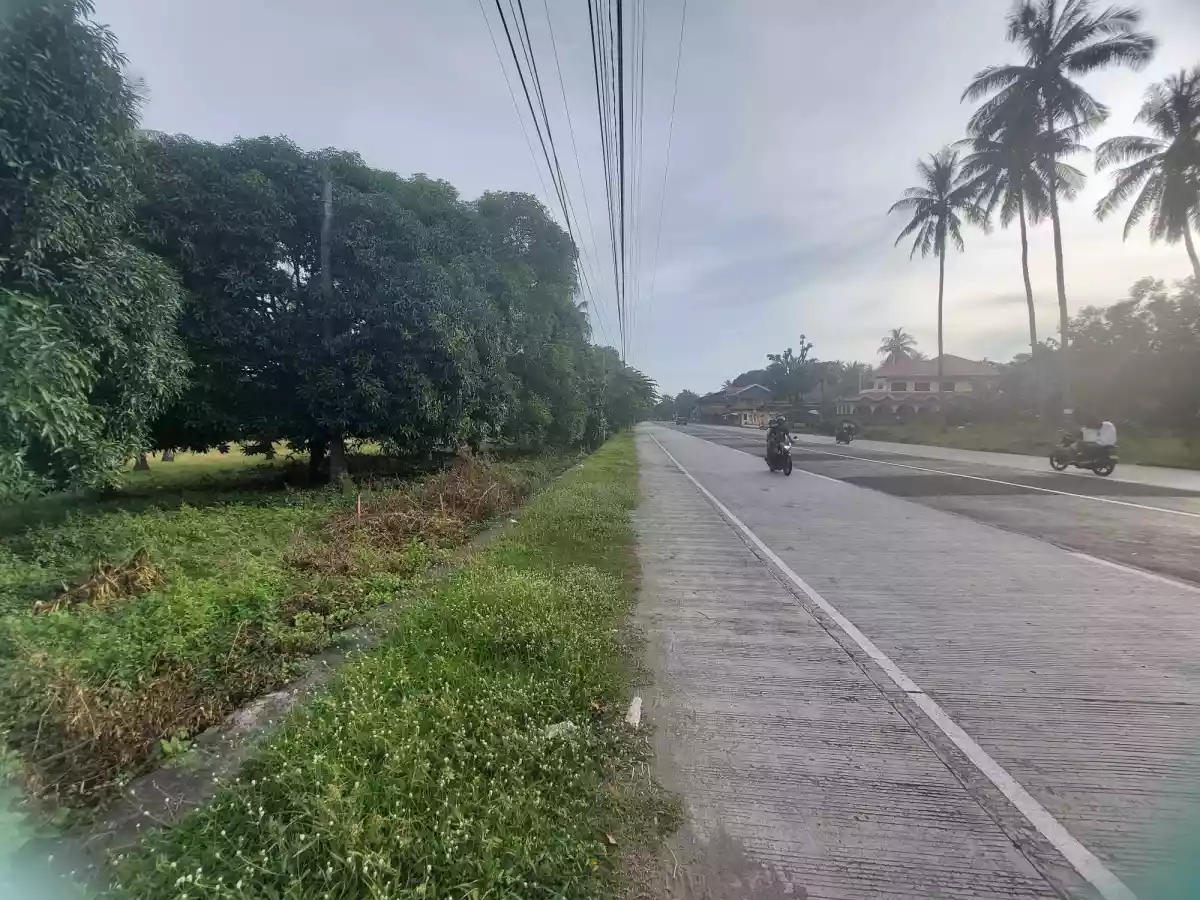 LOT FOR SALE - photo 5