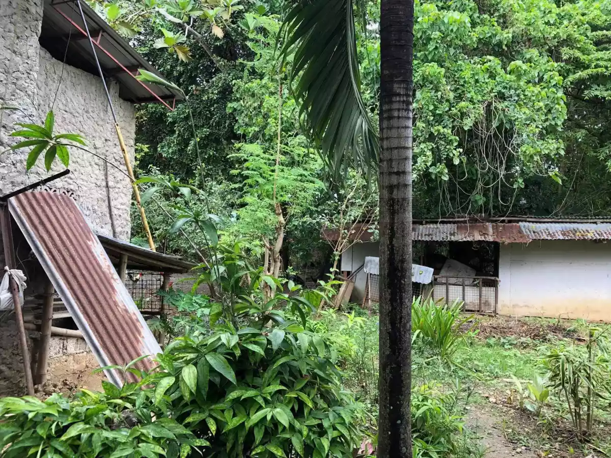 Lot for Sale - photo 6