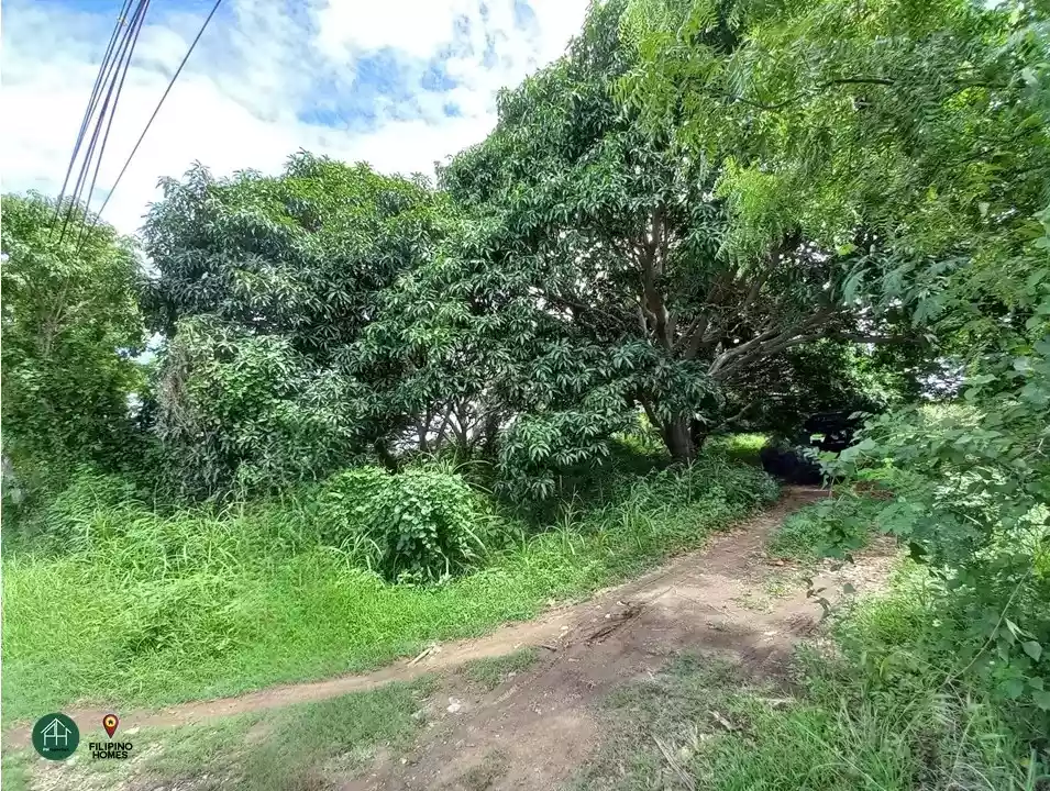 21 Hectare Lot in Calatagan, Batangas — Agricultural Lot in Calatagan, Batangas — Photo 6