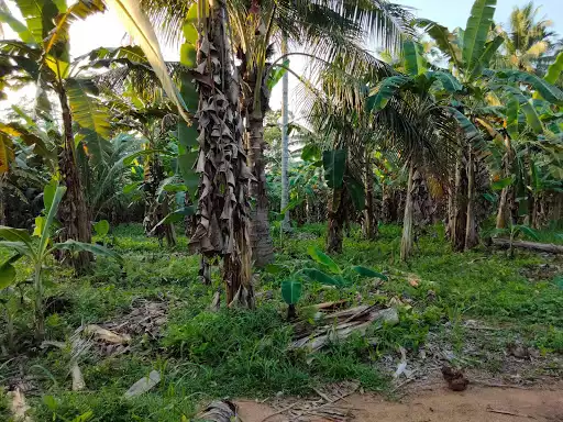 Clean Title — Residential Lot in Toril, Davao City, Davao del Sur — Photo 3