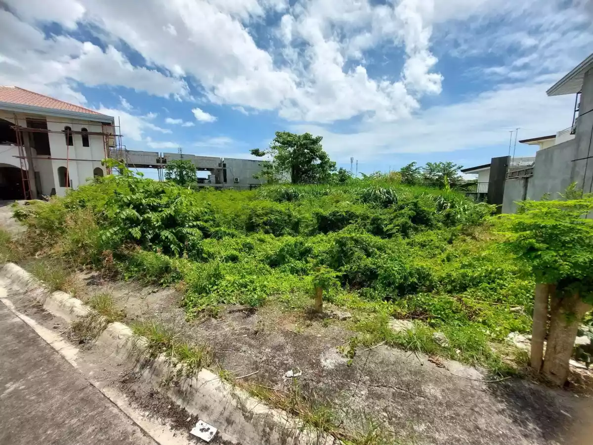 Rush lot for sale in Corona Del Mar