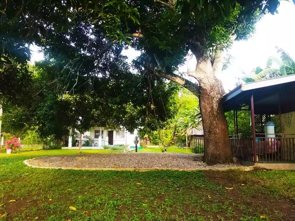 Dumaguete Farm Land for Sale — Residential Lot in Negros Oriental, Philippines — Photo 5