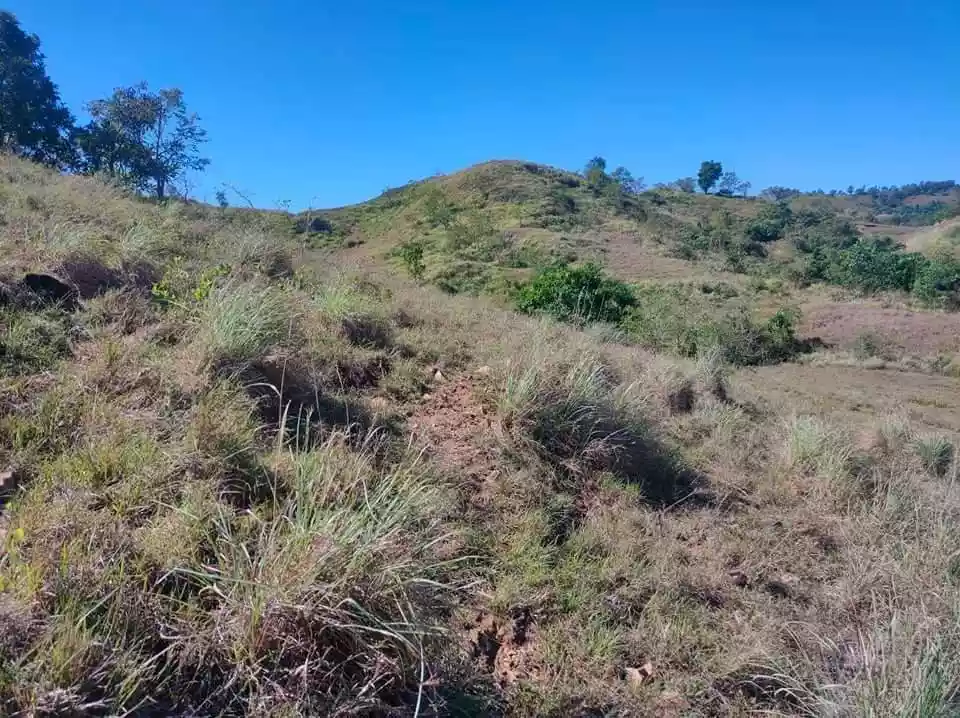 Lot For Sale sa Sual 4 Has - photo 3