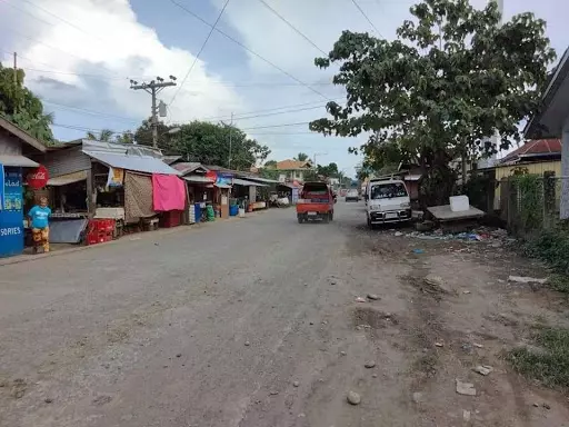 Residential lot for sale — Commercial Lot in Talomo, Davao City, Davao del Sur — Photo 3