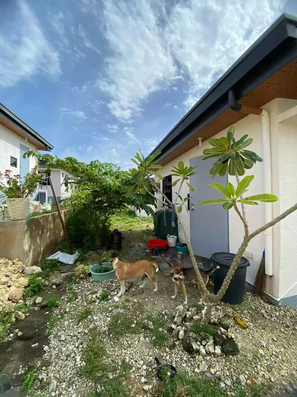 Aruna Bungalow House — House and Lot in Compostela, Cebu, Philippines — Photo 5