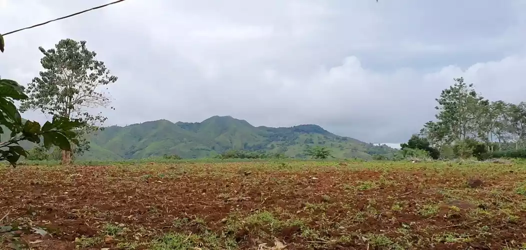 Amazing view! 16 Hectares Land for Sale - photo 4