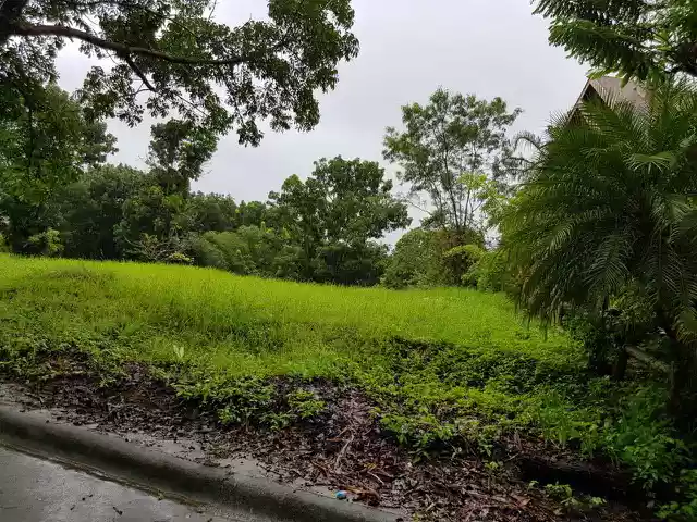 RUSH SALE PRIME CORNER LOT IN CANYON WOODS OVERLOOKING TAAL LAKE - photo 4