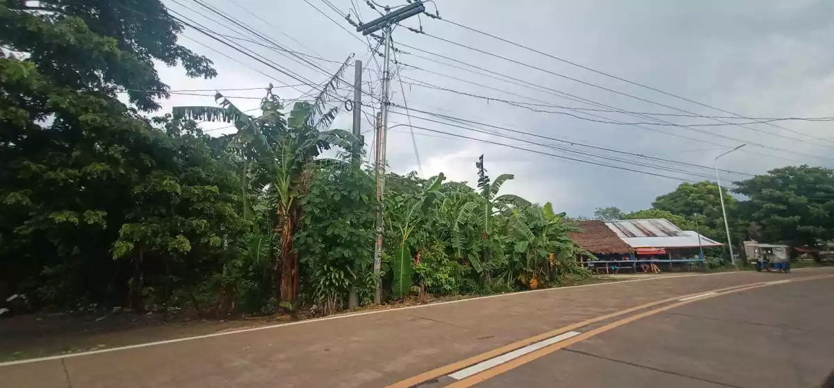 Residential lot — Residential Lot in Minalabac, Camarines Sur, Philippines — Photo 6