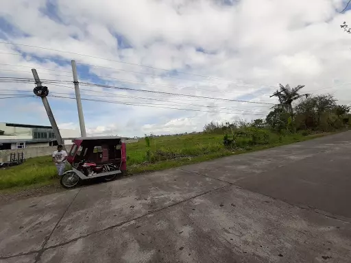 Industrial Lot — Industrial Lot in Naga, Camarines Sur, Philippines — Photo 3