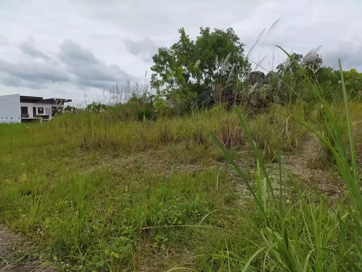 LOT for Sale in Vista Grande, Bulacao, Talisay City, Cebu - photo 5