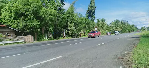 Farm Along National Highway — Agricultural Lot in Butuan City, Agusan Del Norte, Philippines — Photo 2