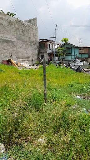 Titled — Residential Lot in Mandaue City, Cebu, Philippines — Photo 4