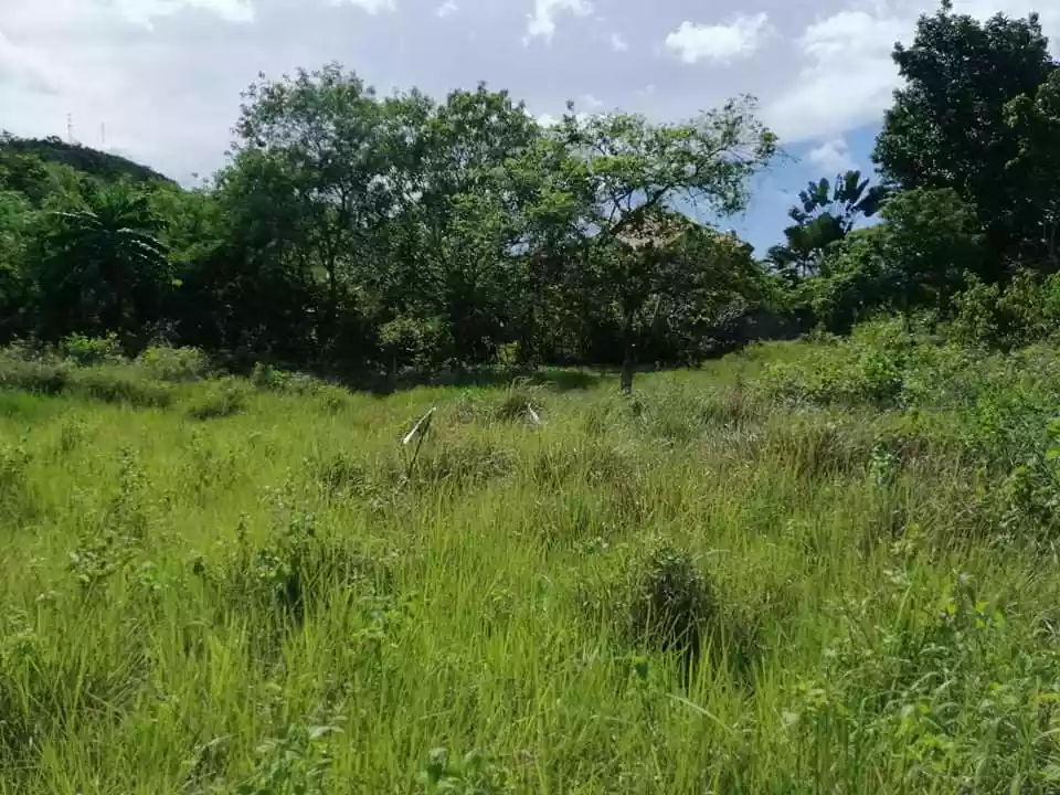 Affordable Lot in Tagbilaran City for Sale! — Residential Lot in Tagbilaran City, Bohol, Philippines — Photo 2
