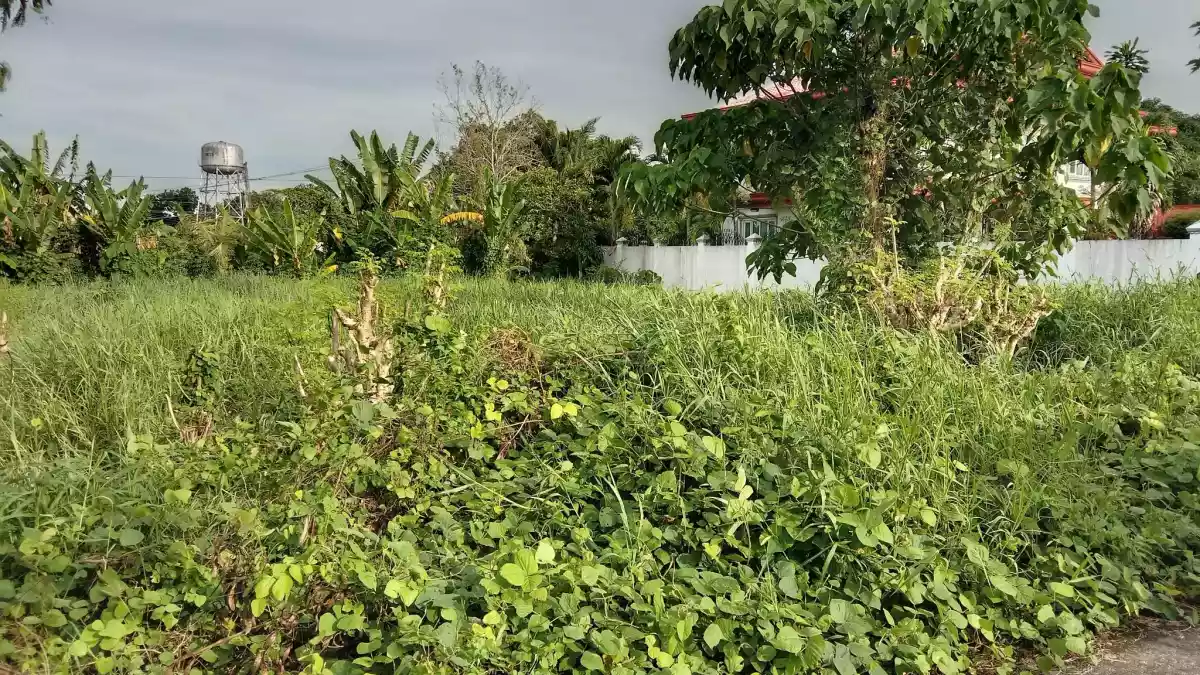 RESIDENTIAL LOT AVAILABLE — Residential Lot in Jaro, Iloilo City, Iloilo — Photo 3