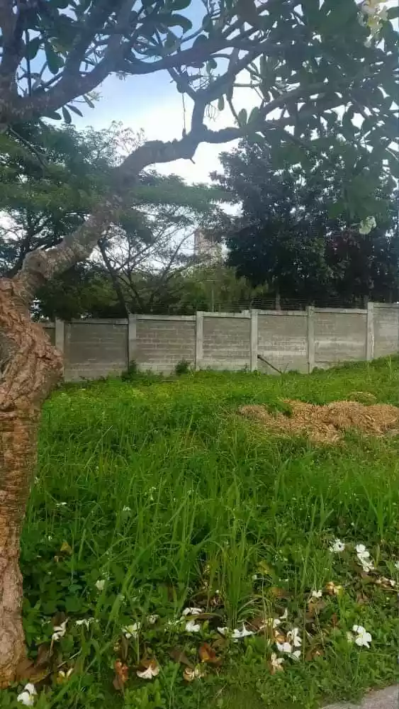 Lot For Sale in Amara Liloan — Residential Lot in Liloan, Cebu, Philippines — Photo 4