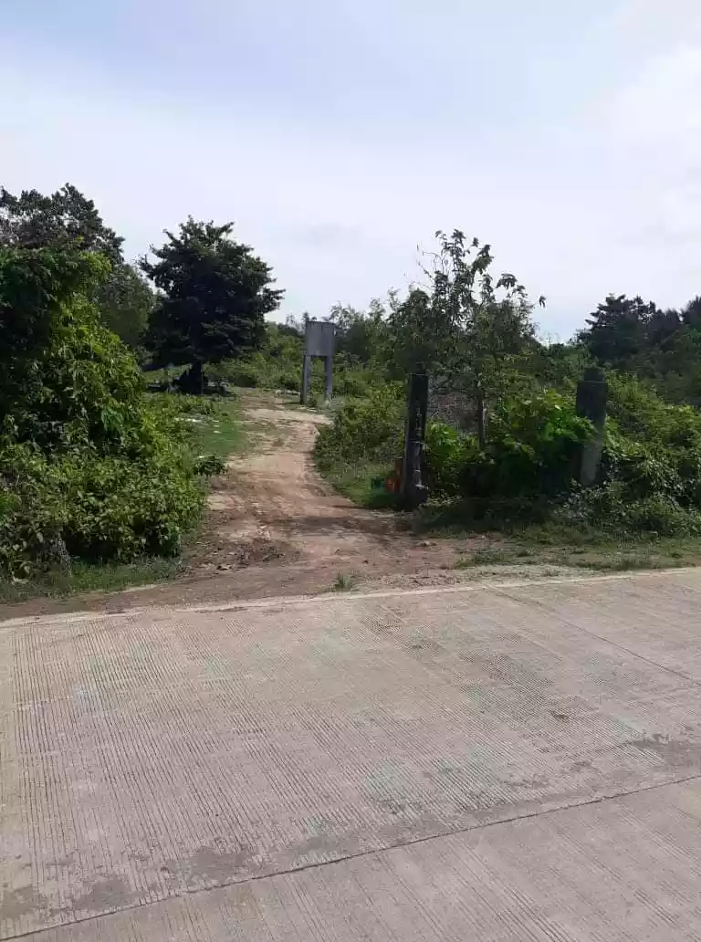 AGRICULTURAL/FARM LOT FOR SALE  - photo 4