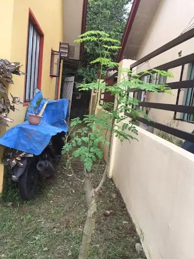 HOUSE AND LOT FOR ASSUME — House and Lot in Davao-Bukidnon Road, Tugbok, Davao City — Photo 6