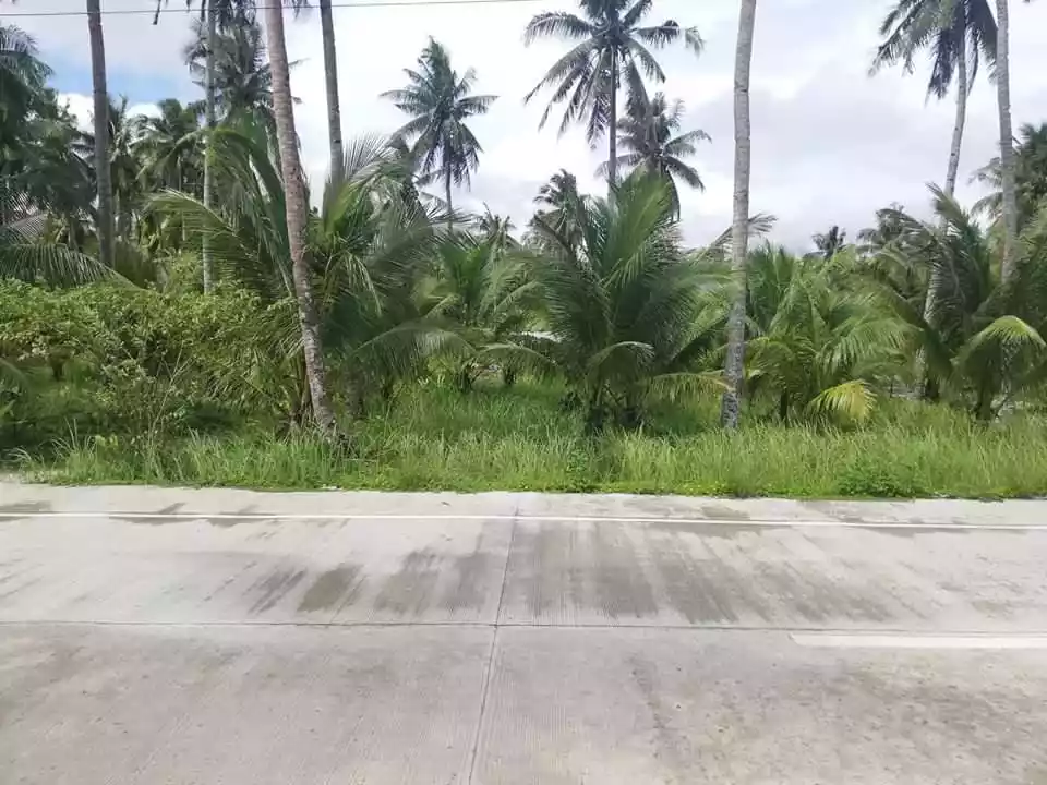 Beach Lot For Sale in Gen. Luna, Siargao Island — Beach Lot in Malinao Road, General Luna, Surigao del Norte — Photo 4