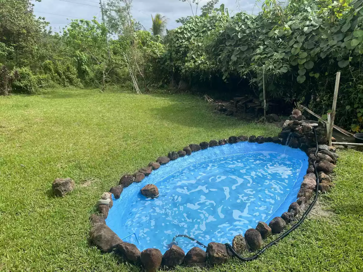 15,500 sqm Property in Mati-i, Surigao City, Surigao del Norte — Residential Lot in Surigao, Surigao del Norte, Philippines — Photo 5