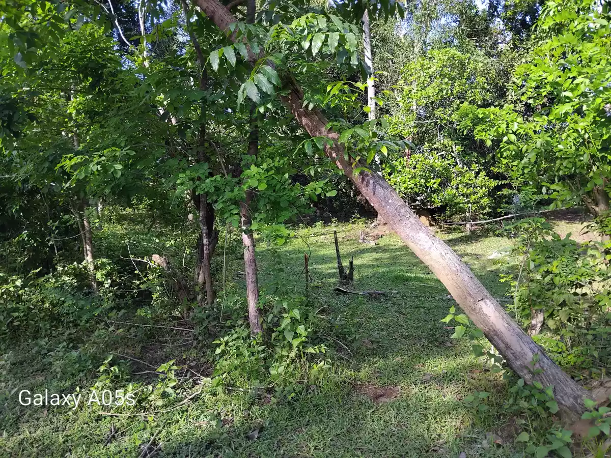 Residential Lot for Sale — Residential Lot in Guimaras, Philippines — Photo 3