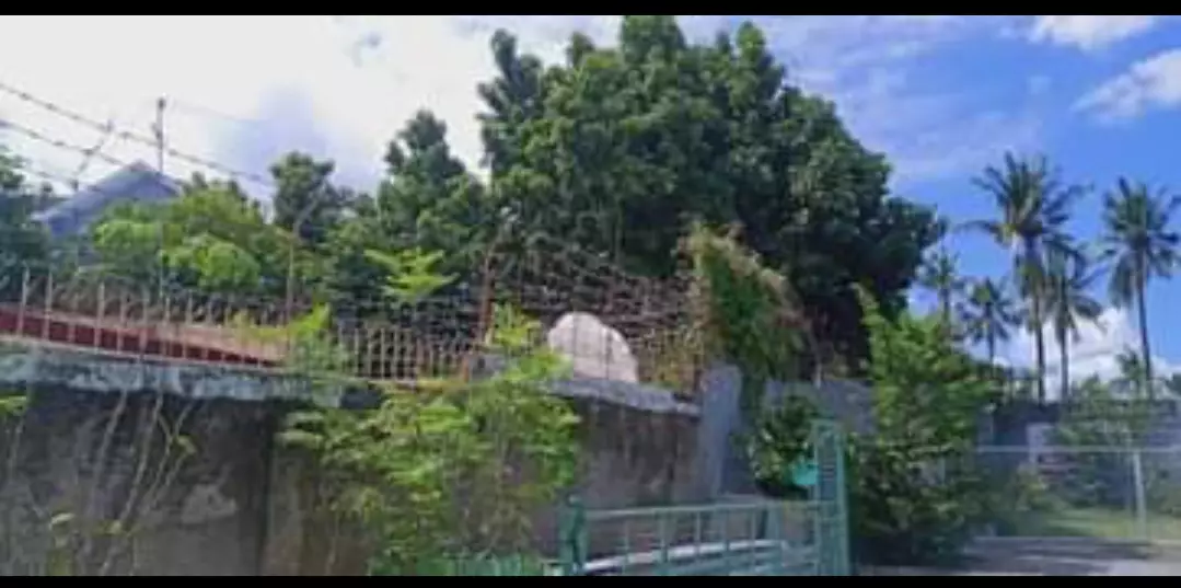 Residential Lot for Sale — Residential Lot in Cebu City, Cebu, Philippines — Photo 6