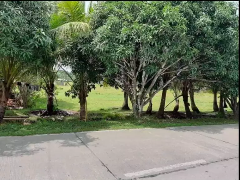 LOT FOR SALE IN TAWIN-TAWIN, GENERAL LUNA, SIARGAO ISLANDS — Agricultural Lot in Surigao del Norte, Philippines — Photo 6