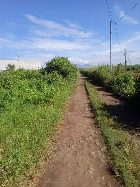 Residential Lot - photo 3