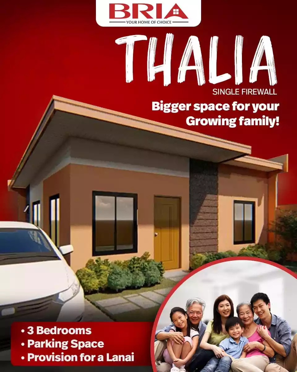Bria Thalia Single Firewall