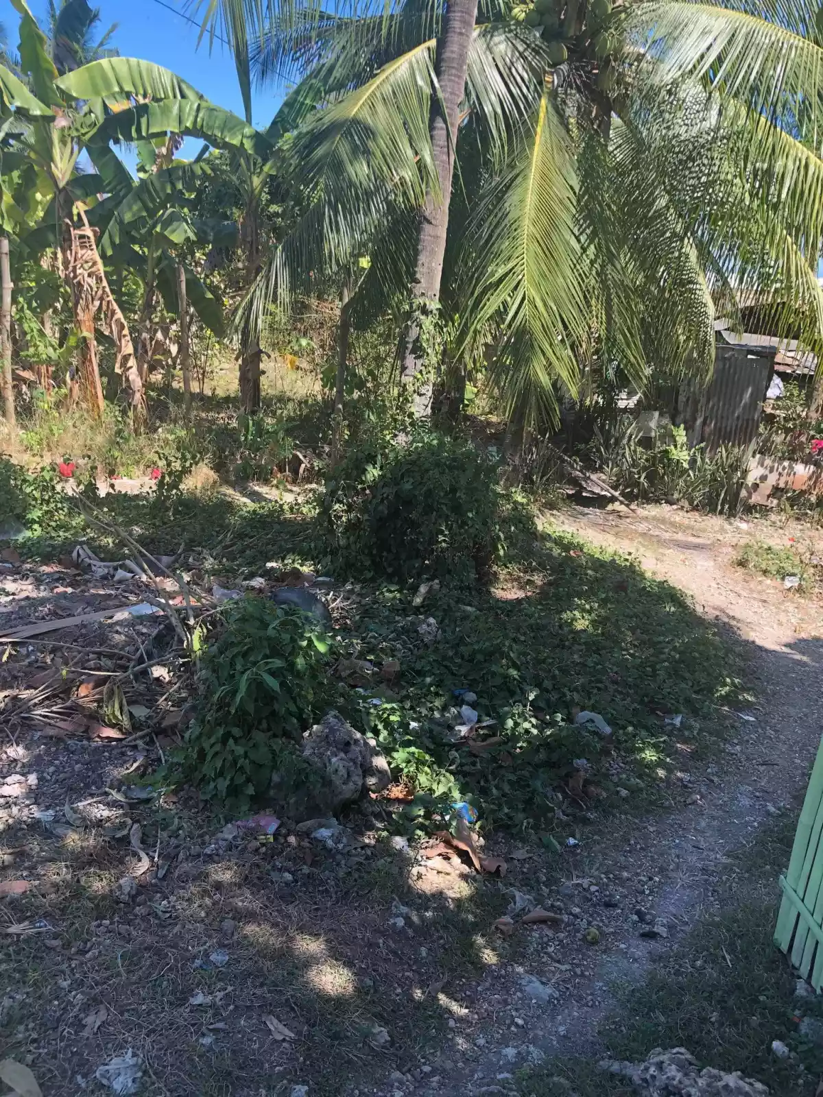 406 SQM IN NAGA CEBU - photo 6