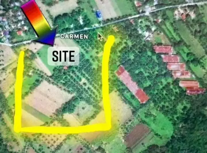Lot For Sale in Toledo City - photo 2