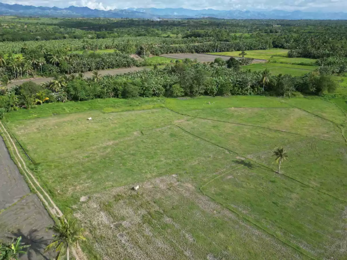 Domolokfarm FOR SALE - photo 7