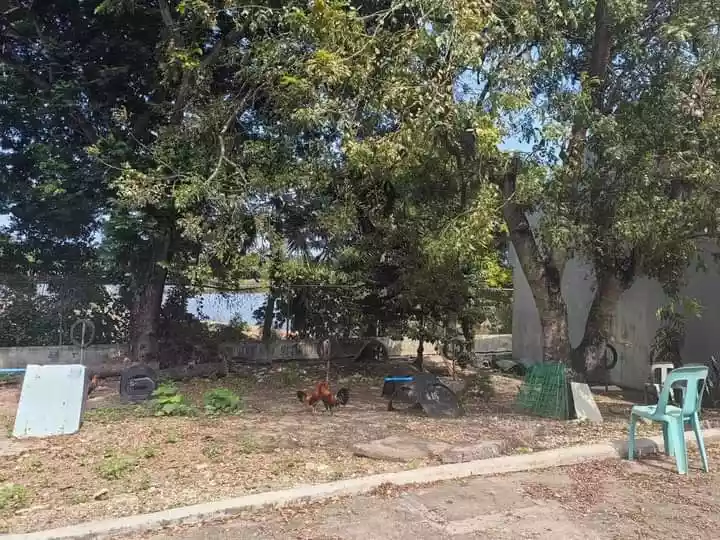 For Sale Lot — Residential Lot in Cebu, Philippines — Photo 3