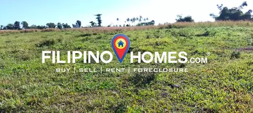 608 — Agricultural Lot in Naga, Camarines Sur, Philippines — Photo 5