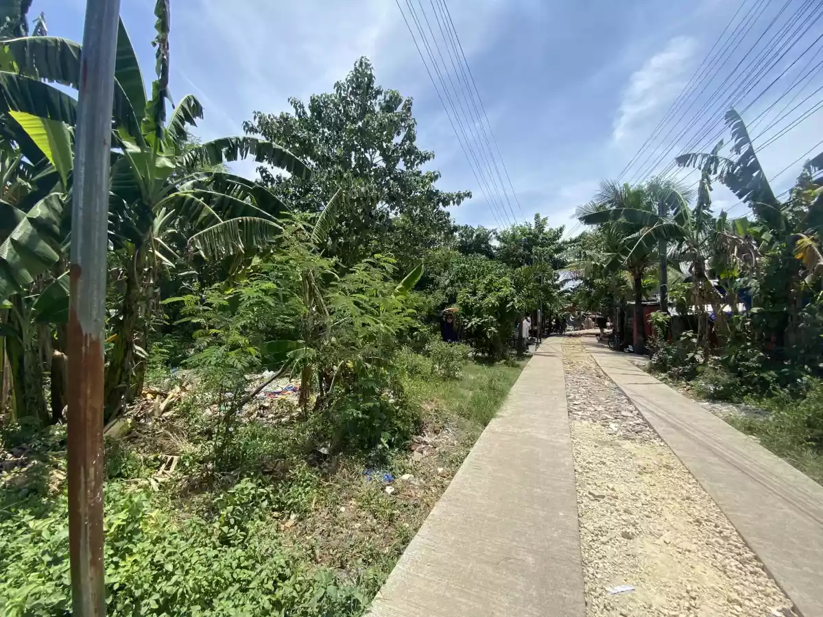 Alegria Cordova Lot for Sale — Residential Lot in Cordova, Cebu, Philippines — Photo 5