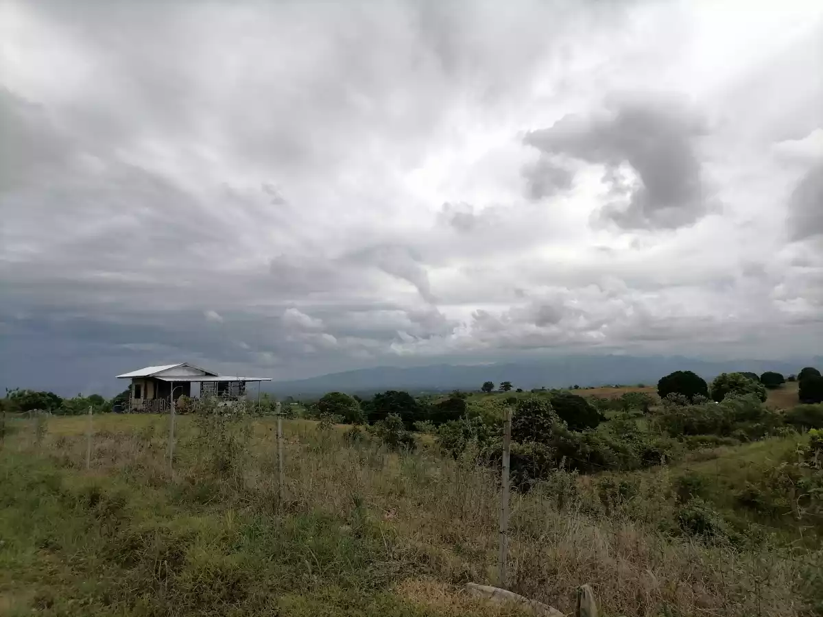 Farm Lots in Tokawal Alabel for Sale — Agricultural Lot in Alabel, Sarangani, Philippines — Photo 7