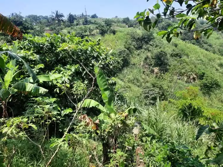 Tagaytay HOT Overlooking Lot w FREE Bungalow   - photo 6