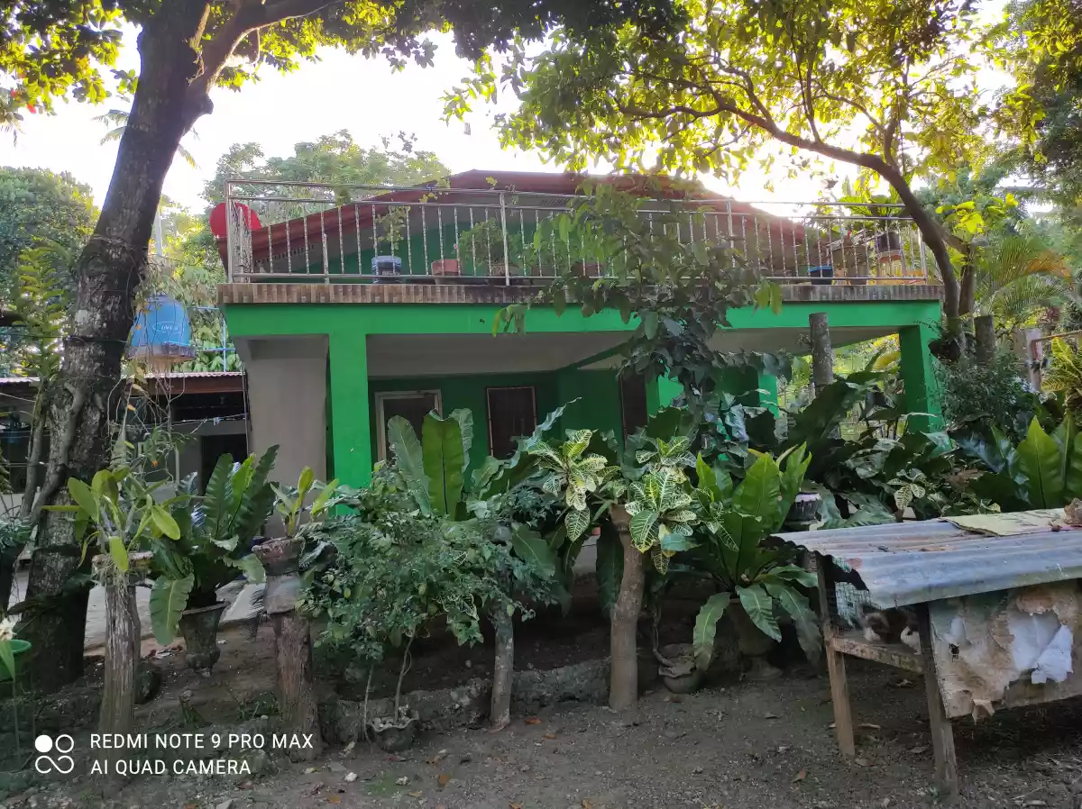 Cogon — Residential Lot in Compostela, Cebu, Philippines — Photo 6