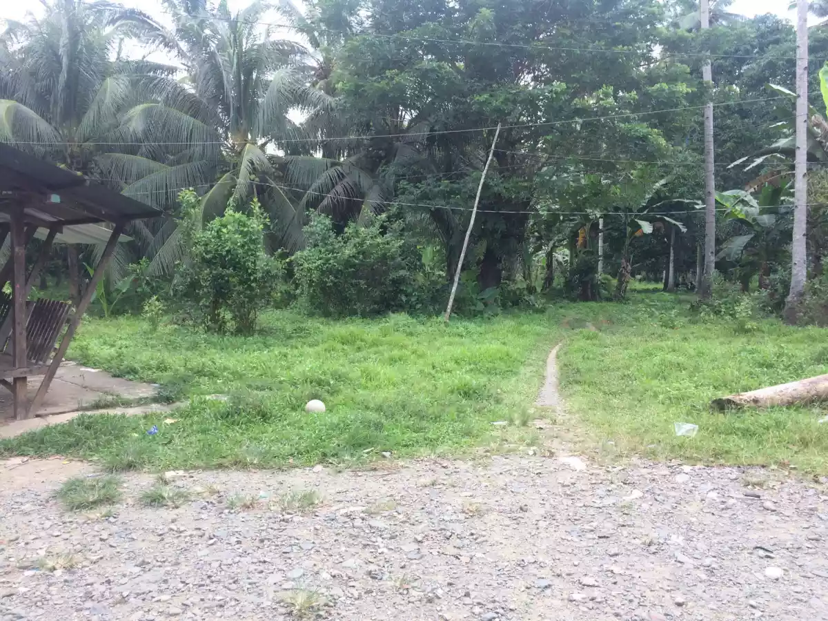 For Sale Titled Commercial Lot in Balamban Cebu — Commercial Lot in Cebu City, Cebu, Philippines — Photo 6
