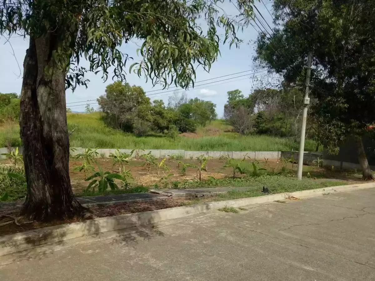 Residential Lot for Sale inside Subdivision — Residential Lot in Cagayan de Oro, Misamis Oriental, Philippines — Photo 4