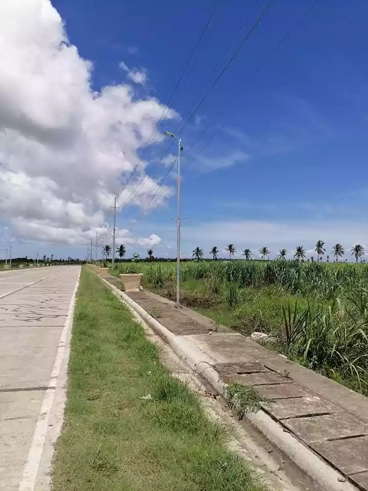 Lot for Sale - photo 4