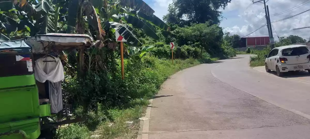 Lot for Sale - Titled - photo 2
